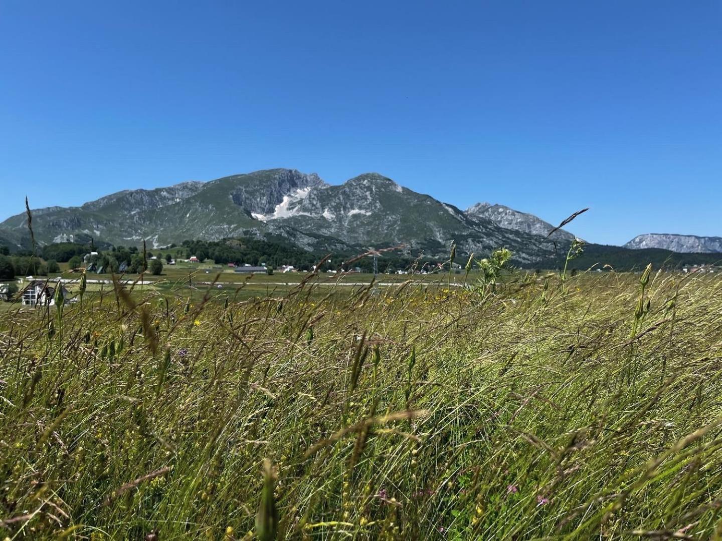 Mountain Peaceful Cottages Zabljak  Luaran gambar